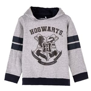 Harry Potter Hogwarts Kinder Hoodie Kapuzenpullover grau Gr. 122 - 158 146 (10 Jahre)
