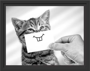 Lustige Katze mit Lächeln auf Papier, Monochrome im Schattenfugen Bilderrahmen / Format: 38x30 im Schattenfugen-Bilderrahmen / Kunstdruck auf hochwertigem Galeriekarton / hochwertige Leinwandbild Alternative