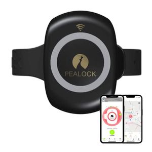 Pealock 2 - Smartes Schloss mit GPS SIM