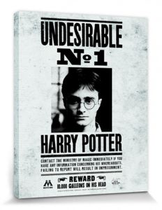 Harry Potter Poster Leinwandbild Auf Keilrahmen - Unerwünschter Nr 1, Daniel Radcliffe (50 x 40 cm)