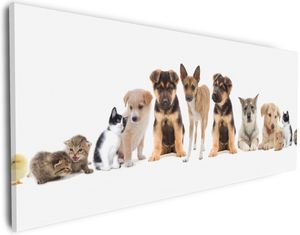 Wallario Premium Leinwandbild Süße Haustiere - Katzen  Hunde  Hamster  Küken II in Größe 30 x 75 cm