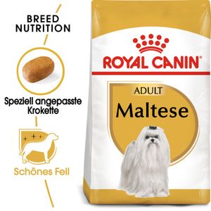 Royal Canin Maltese 24 Adult - 1,5 kg