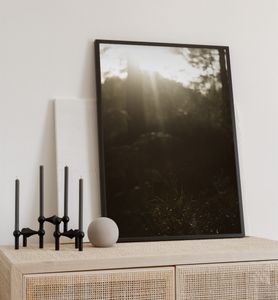 Poster Wald bei Dämmerung, groesse_poster:50x70 cm, groesse_rahmen:weiß 50x70 cm