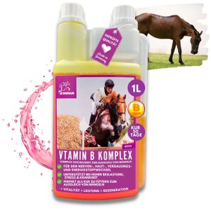 EMMA Vitamin B Komplex Pferd 1L hochdosiert für Pferde mit Vitamin B1, B2, B6, B12, B-Vitamine Vit b Unterstützung Muskulatur, Immunsytem, Nerven