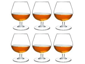 Arcoroc Degustation Cognacschwenker, Cognacglas, 250ml, Glas, transparent, 6 Stück