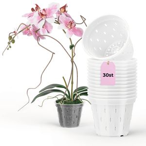 30er-Set Orchideentopfe Transparent D14cm H11cm - Kunststoff mit Löchern-Mesh Pot für Orchideen