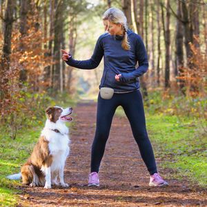 Navaris Hunde Futterbeutel aus Silikon 2er Set - 2x Snackbeutel mit Clip und Magnet - Futtertasche Leckerlis Trockenfutter - Leckerlibeutel - Grau