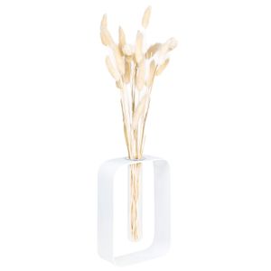 QUVIO Vase mit Metallrahmen - Vasen - Glasvase - Vase Glas - Blumenvase - Vasen klein - Hydroponisch - Weiß