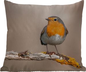 MuchoWow® Outdoor Kissen - Rotkehlchen - Vogel - Zweig - Tiere - 50x50 cm - Wetterfest - Lounge Kissen - Komfortabel - Kissen mit Bild