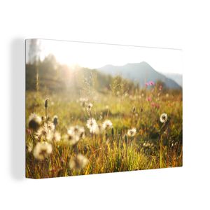 OneMillionCanvasses® - Leinwandbilder - 150x100 cm, Licht - Gras - Blumen, Wandbilder Kunstdruck Wanddekoration
