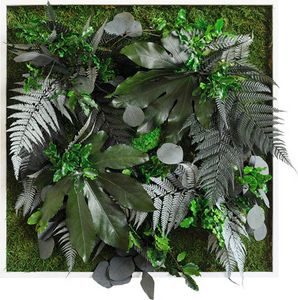 Pflanzenbild Dschungeldesign Rahmen weiß 55x55 cm