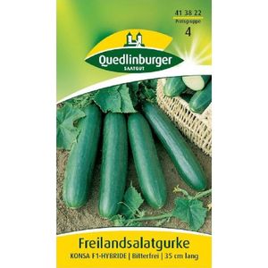 Quedlinburger Saatgut - Freilandsalat-Gurken Konsa - Samen - 413822