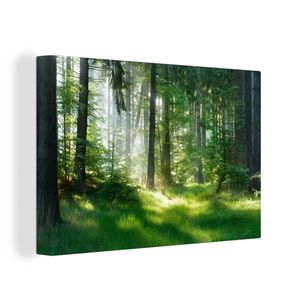 OneMillionCanvasses® - Leinwandbilder - 150x100 cm, Natur - Bäume - Wald - Grün - Sonne - Gras - Pflanzen, Wandbilder Kunstdruck Wanddekoration - Foto auf Leinwand - Gemälde auf