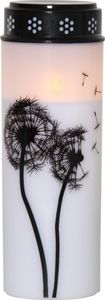 Star Trading LED Grabkerze, Gedenkkerze, Dandelion‘, Timer, 21cm