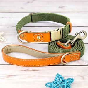 Halsband Leine Set Hundehalsband Hundeleine Größe M in grün Nylon Leder Hund beste Qualität