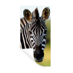 Wandaufkleber - Nahaufnahme Zebra - 20x40 cm - Repositionierbar