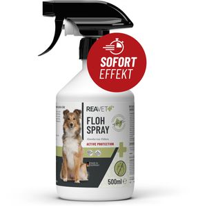 REAVET Anti Flohspray für Hunde 500ml – Flohmittel Hund bei Befall & vorbeugend mit Langzeit Schutz, Floh Spray auch für Welpen, Textilien, Wohnung und Umgebung geeignet