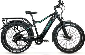 E-Bike JOBOBIKE ELEKTROFAHRRAD APEX 26 x 4 ZOLL HYDRAULISCHE BREMSEN