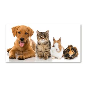 Tulup® Leinwandbild - 140x70 cm - Wandkunst - Drucke auf Leinwand - Leinwanddruck  - Tiere - Braun - Hund und Katze