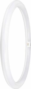 OSRAM LED TUBE T9C EM 40, LED trubice ve tvaru prstence, 24W, 2900lm, 4000K, studené bílé světlo, LED alternativa ke klasickým zářivkám T9, dlouhá životnost, nízká spotřeba energie
