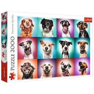 Premium Puzzle 2000 Teile - Lustige Hunde