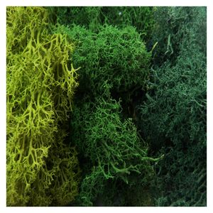 Green Stuff World - Islandmoos - Mix 1 - Grün