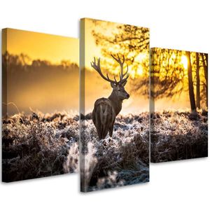 Feeby Wandbild 3-teilig Hirsch Wald Sonnenuntergang 120x80 Leinwandbild auf Vlies Bilder Bild