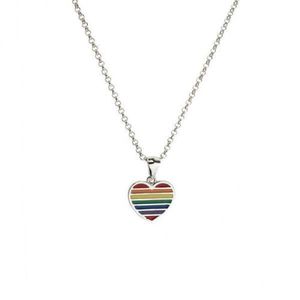2x Regenbogen Emaille Transgender LGBT verstellbare Gay Pride Halskette Kette rundes Herz