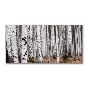 Tulup® Leinwandbild - 120x60 cm - Wandkunst - Drucke auf Leinwand - Leinwanddruck - Blumen & Pflanzen - Weiß - Birke