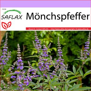 SAFLAX - Heilpflanzen - Mönchspfeffer - 30 Samen - Vitex agnus-castus