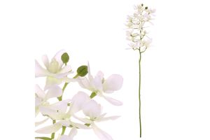 Orchidea drobnokvetá, bielej farby. UKK313-WH