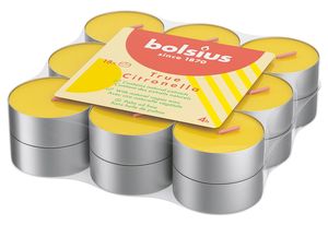 Bolsius Duft-Teelicht True Citronella 18 Stück