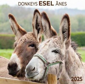 Esel 2025 Esel 2025