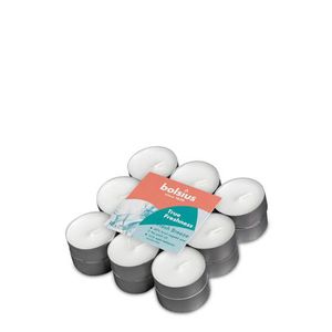 Bolsius Duftteelichter True Freshness Frische Brise Ø 3,8 cm, 18er Pack