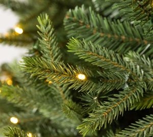 Evergreen Künstlicher Weihnachtsbaum Richmond Tanne LED grün 228 cm