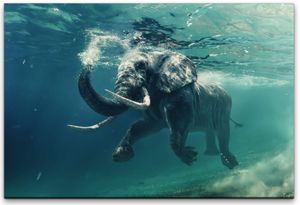 Elefant unter Wasser Wandbild in verschiedenen Größen 180x120cm