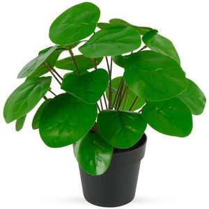 Vilde Kunstpflanze künstliche Pflanze im Topf Pilea-Pflanze Pilea Glückstaler dekorativ 24 cm