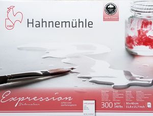 Hahnemühle Expression Watercolour Aquarellblock - 300 g/m² - matt - 24 x 30 cm - 20 Blatt