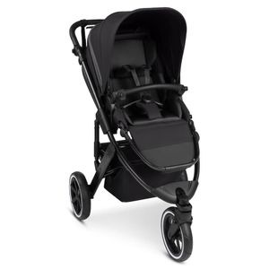 ABC Design Jogger & Sportwagen Salsa 5 Run mit Sportzulassung,