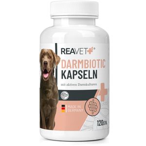REAVET Probiotika für Hunde mit 35 Mrd. KBE/g - 120 Tabletten für eine gesunde Darmflora - Darmbakterien zur Darmsanierung & bei Durchfall für den Hund - Immunsystem stärken