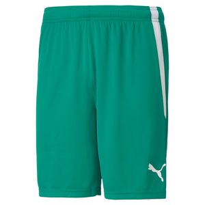 Puma Teamliga Shorts Herren - Grün