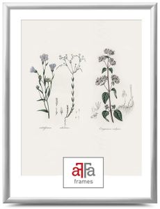 aFFa frames, Plastik Bilderrahmen, Acrylglasfront, Fotorahmen, Posterrahmen, Silber, 30x40 cm