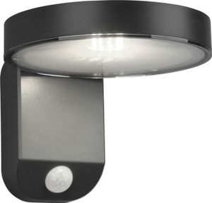 Venkovní nástěnné svítidlo POSADAS - MOVEMENT SENSOR - SOLAR antracit RL R22251142