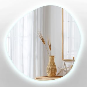 Beleuchtet LED Unregelmäßige Spiegel - Niere Ovale - Wandmontiert Hängend - LED- Farbe Kalt (6500K) – 58 cm x 58 cm