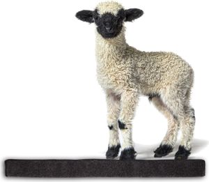 Zugluftstopper für Fenster 100cm - 100% Schurwolle - Anthrazit - Luftzugstopper Durchzugstopper Windstopper -  Germany