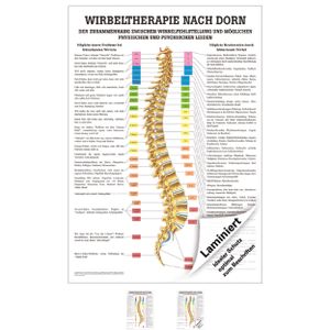 Dorntherapie Mini-Poster Anatomie 34x24 cm medizinische Lehrmittel