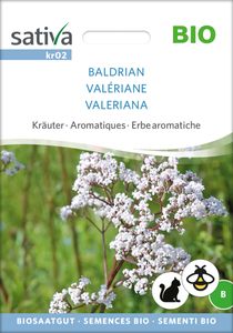 Baldrian |Heilpflanzensamen von Sativa Rheinau