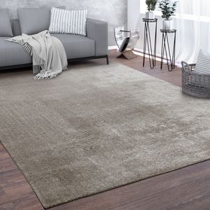 Teppich, Kurzflor-Teppich Für Wohnzimmer, Super Soft, Weich, Waschbar, In Grau Grösse 140x200 cm