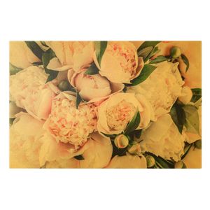 Leinwandbild Gold - Rosa Pfingstrosen mit Blättern - Querformat 2:3, Größe HxB:60cm x 90cm