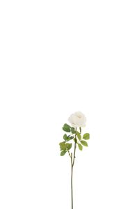 Ruža Single+Kvety Plastová Biela